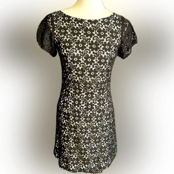 Christopher Dean Black Lace Sheath Dress with 100% Silk Lining, Zip Back, Size 2 - Picture 1 of 9